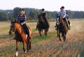 DSC05234.JPG
