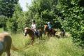 DSC04298.JPG
