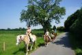 DSC04332.JPG