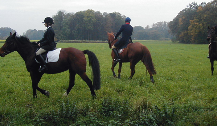 Reiten